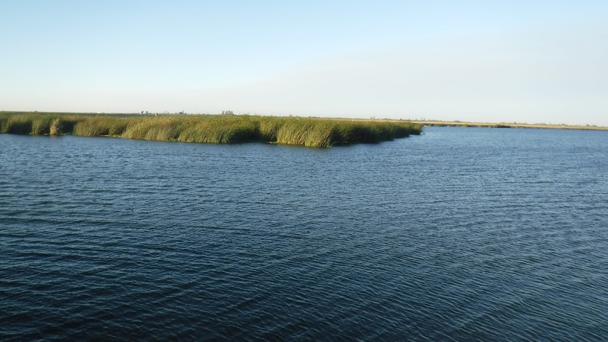 Sacramento-San Joaquin Delta fishing