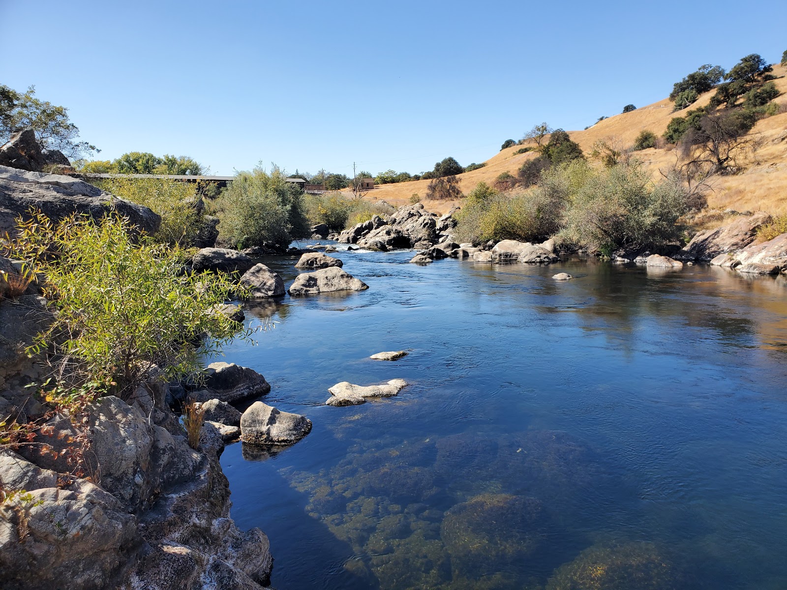 Dog-friendly spots in the 209