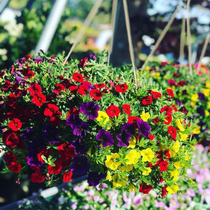 Grover Ornamental Nursery