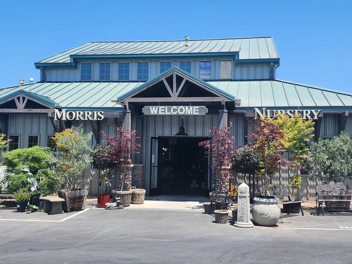 Morris Nursery