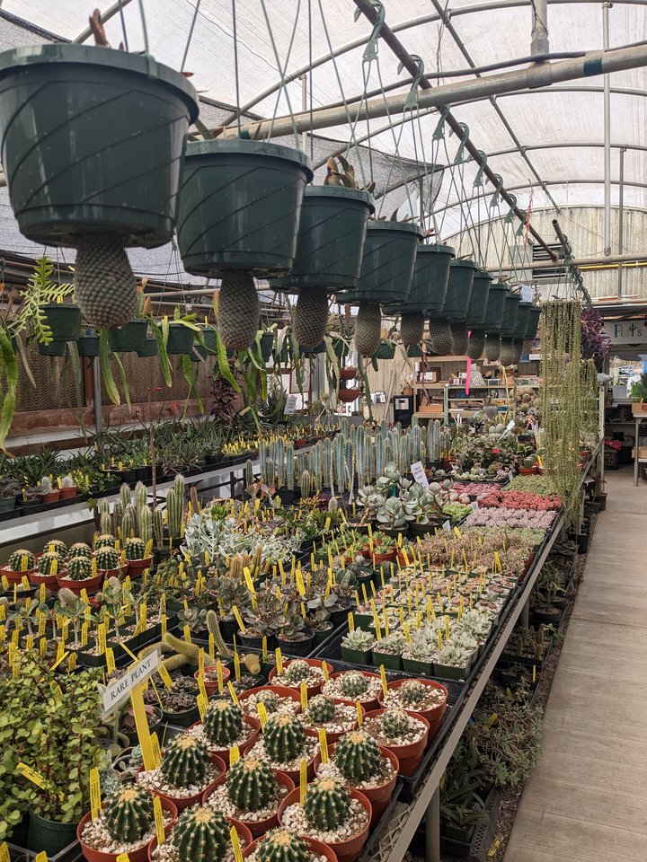Poot's Cactus Nursery