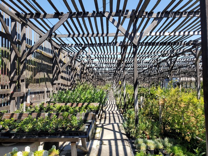 Port Stockton Nursery