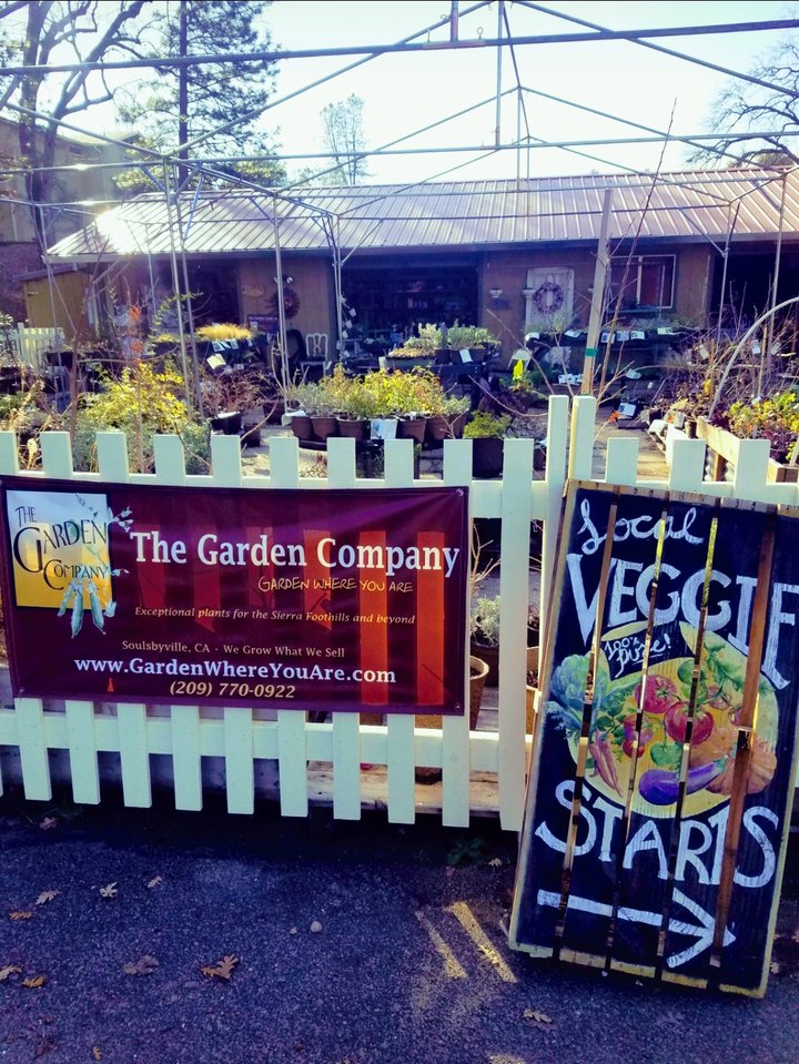 The Garden Company