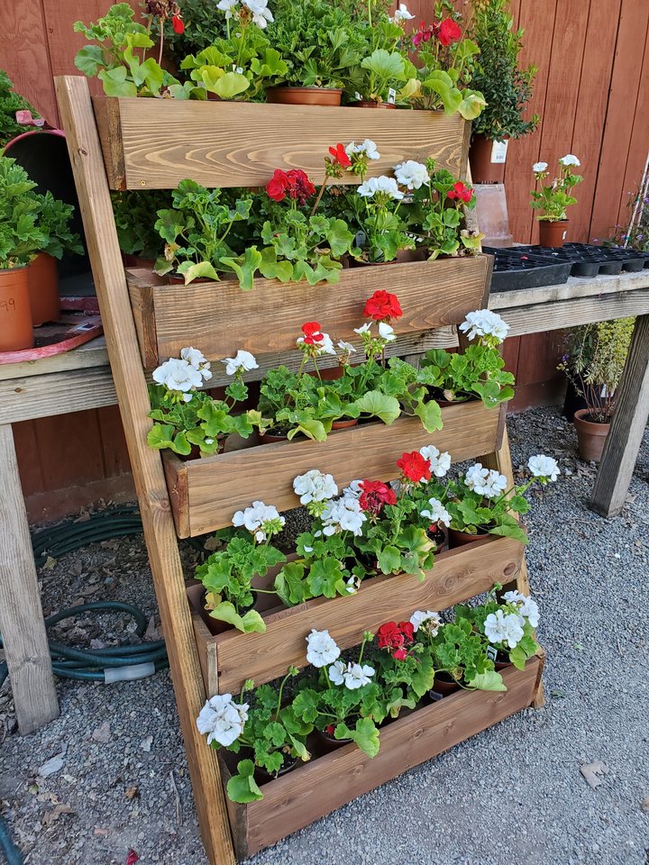 Tracy's Nursery and Gardens