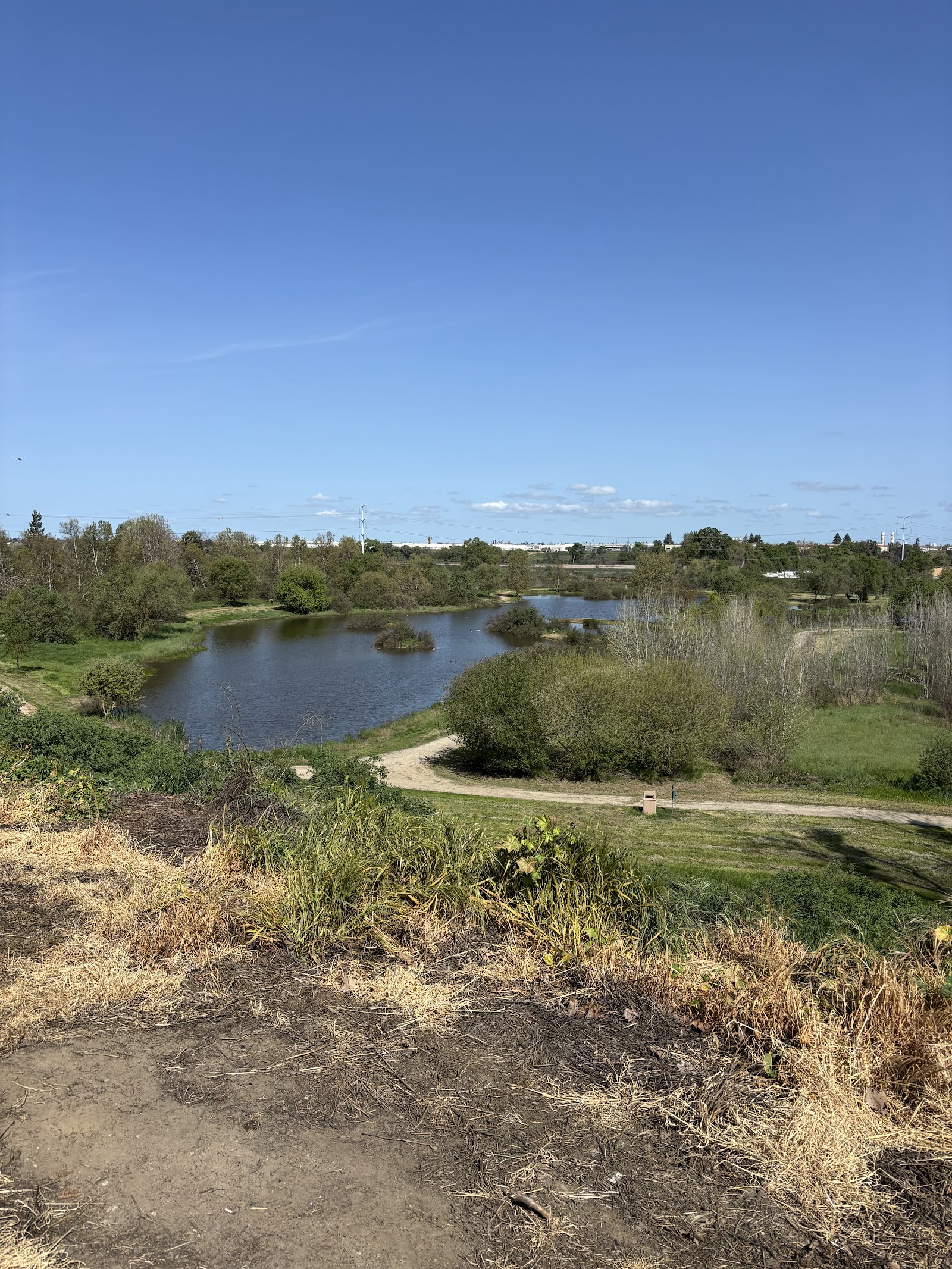 Ceres River Bluff