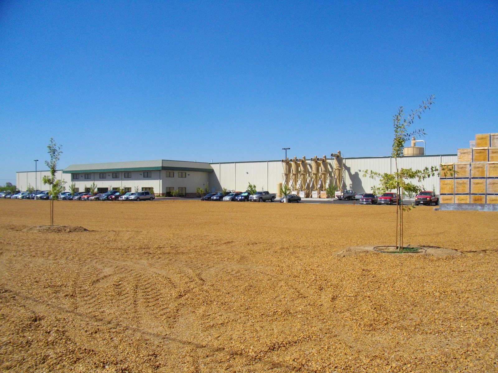 Escalon Orchards