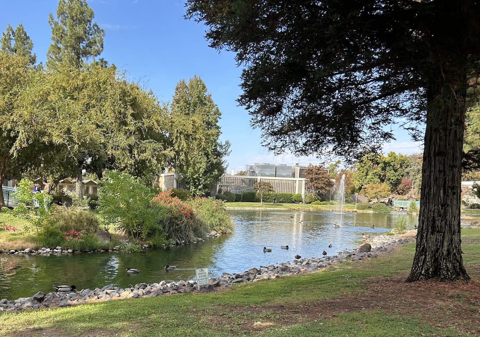 CSU Stanislaus